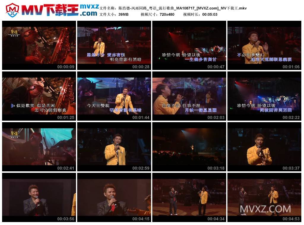 陈浩德-风雨同路_粤语_流行歌曲_MA108717